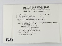 登錄號:F0025427藏品圖，第2張