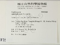 登錄號:F0025428藏品圖，第2張