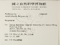 多孔菌屬藏品圖，第2張