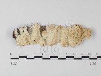 登錄號:F0025430藏品圖，第1張