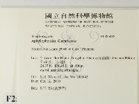 登錄號:F0025432藏品圖，第2張