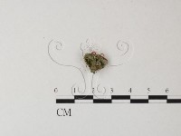 登錄號:F0025432藏品圖，第3張