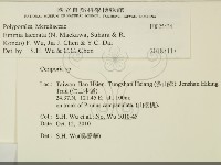 登錄號:F0025434藏品圖，第2張