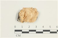 登錄號:F0025434藏品圖，第1張