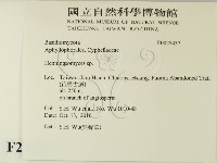 登錄號:F0025437藏品圖，第2張