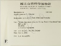 登錄號:F0025438藏品圖，第2張