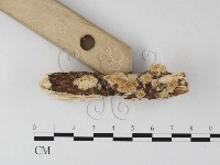 登錄號:F0025438藏品圖，第3張