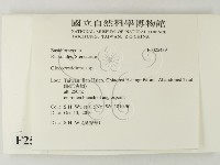 登錄號:F0025439藏品圖，第2張