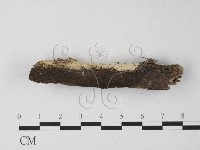 登錄號:F0025439藏品圖，第1張