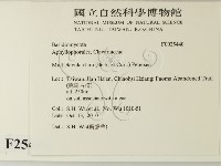 登錄號:F0025440藏品圖，第2張