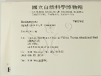 骨皮菌屬藏品圖，第2張