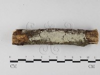 登錄號:F0025443藏品圖，第1張