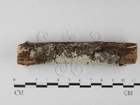登錄號:F0025443藏品圖，第3張