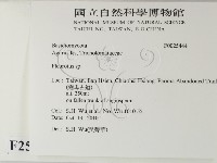 登錄號:F0025444藏品圖，第2張