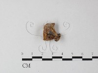 登錄號:F0025444藏品圖，第3張