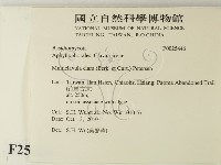 登錄號:F0025446藏品圖，第2張