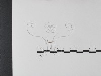 登錄號:F0025446藏品圖，第1張