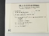 登錄號:F0025447藏品圖，第2張