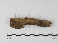 登錄號:F0025448藏品圖，第1張