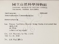 刺革菌屬藏品圖，第2張