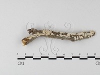 登錄號:F0025451藏品圖，第1張