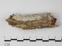 登錄號:F0025452藏品圖，第1張