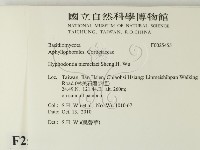 登錄號:F0025455藏品圖，第2張
