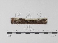 登錄號:F0025455藏品圖，第1張