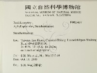 齒耳菌屬藏品圖，第2張