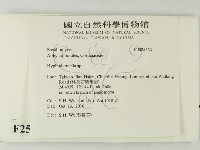 登錄號:F0025462藏品圖，第2張