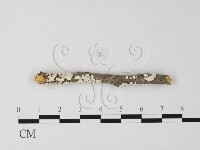 登錄號:F0025463藏品圖，第1張