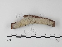 登錄號:F0025464藏品圖，第1張