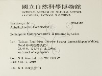 登錄號:F0025466藏品圖，第2張