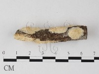 登錄號:F0025466藏品圖，第3張