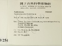 登錄號:F0025469藏品圖，第2張