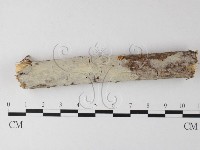 登錄號:F0025469藏品圖，第1張
