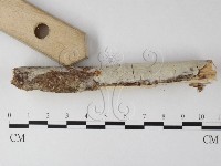 登錄號:F0025469藏品圖，第3張