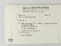 骨皮菌屬藏品圖，第2張