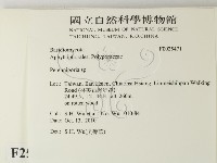 多年臥孔菌屬藏品圖，第2張