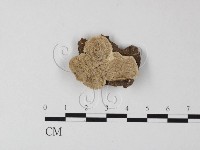 登錄號:F0025472藏品圖，第1張