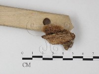 登錄號:F0025472藏品圖，第3張