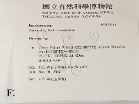 登錄號:F0025475藏品圖，第2張