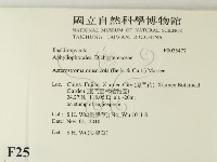 登錄號:F0025477藏品圖，第2張