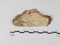 登錄號:F0025477藏品圖，第1張