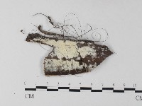 登錄號:F0025478藏品圖，第1張