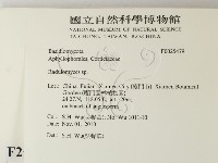 登錄號:F0025479藏品圖，第2張