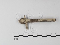登錄號:F0025479藏品圖，第1張