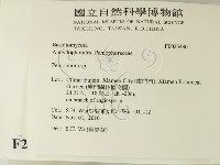 筍殼菌屬藏品圖，第2張