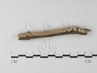 登錄號:F0025482藏品圖，第1張