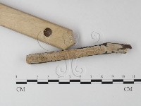 登錄號:F0025482藏品圖，第3張